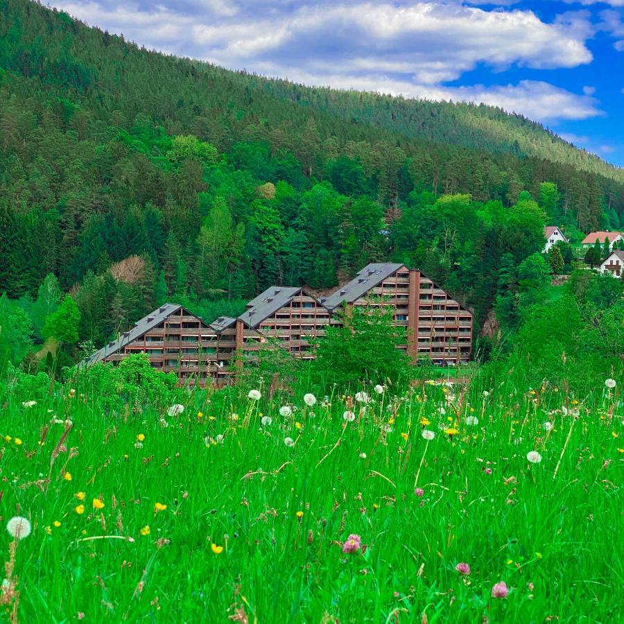 Ferienwohnung Guenter Im Tonbachtal ไบเออร์สบรอนน์ ภายนอก รูปภาพ